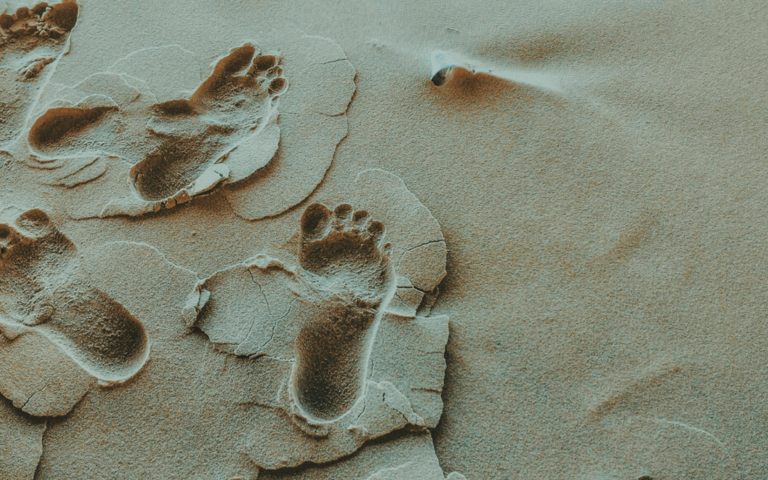 Why Career Professionals Should Watch Their Social Media Footprint on Non-Career Sites