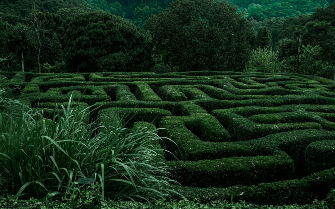 The 2025 Job Search: Why It Feels Like a Maze—and How to Navigate It with Confidence