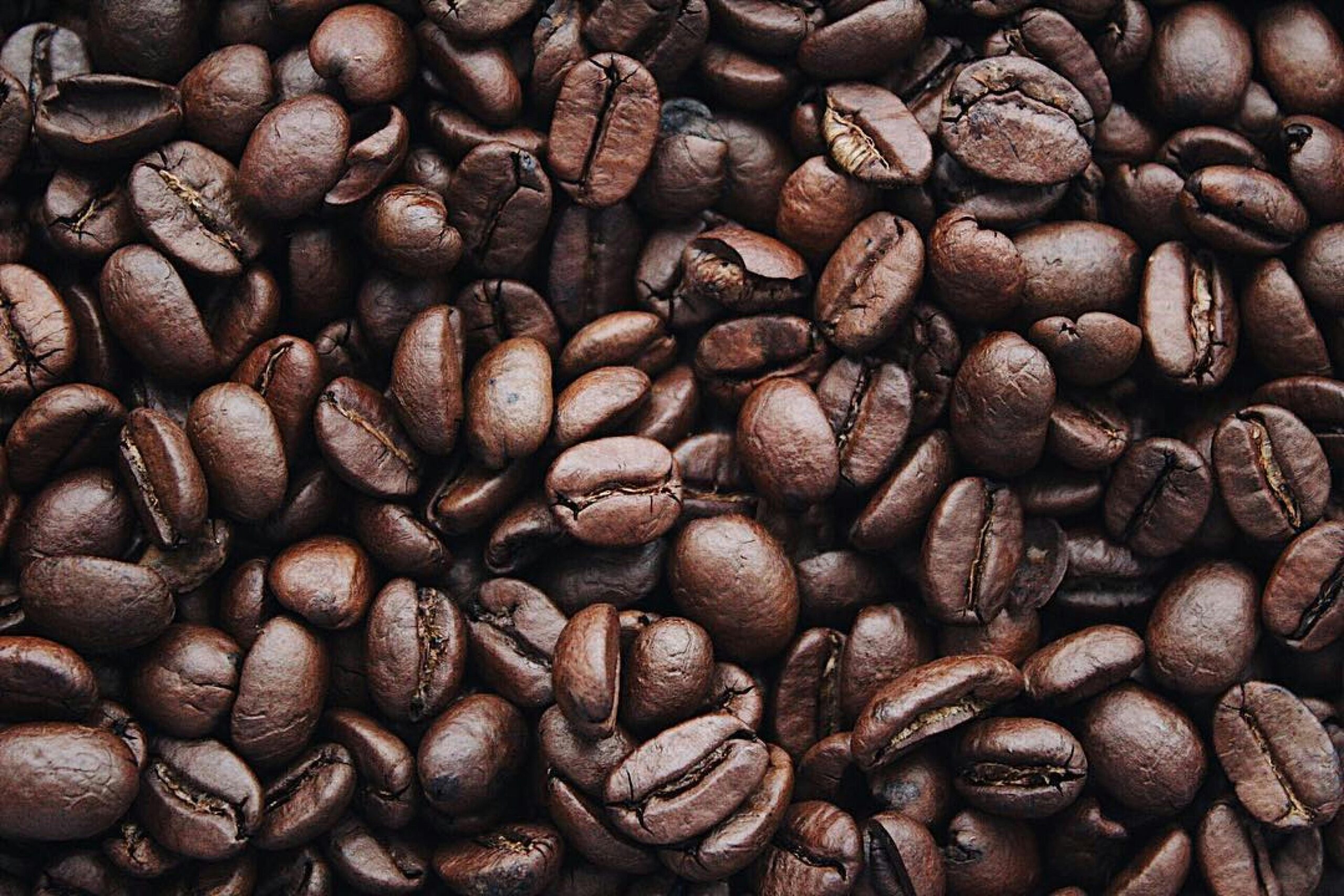 LinkedIn’s 360Brew Algorithm: What Job Seekers Must Understand for 2026